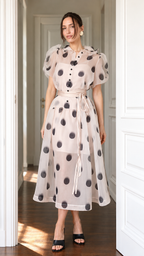 Sheer Organza Polka Dot Puff Sleeve Midi Dress