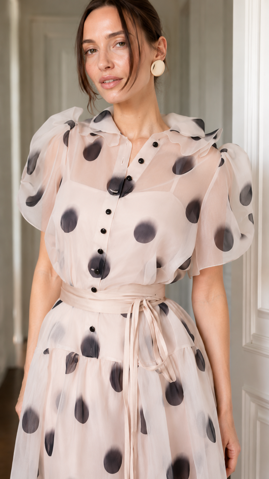 Sheer Organza Polka Dot Puff Sleeve Midi Dress